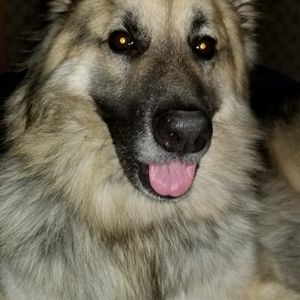 Meet your Posher, Tim